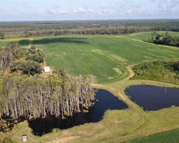 Alabama Farm Ideal for Hunting, Country Retreat, or Investment