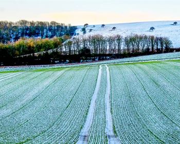 Evaluating Cropland for Investment
