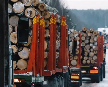 Forest Industry Supply Chains Feel the Strain