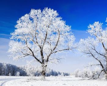 Pro Tips for Landowners Ready to Sell