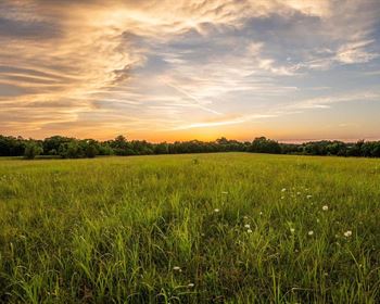 Whistlen’ Ridge is a Haven for Outdoor Enthusiasts