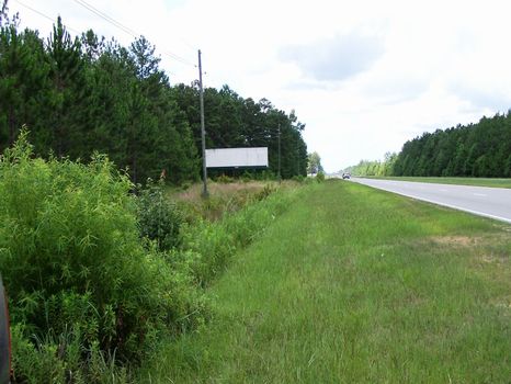Lawton Tract - 185 Acres : Hardeeville : Jasper County : South Carolina