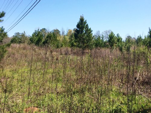 Reduced, Bonner Road : Carrollton : Carroll County : Georgia
