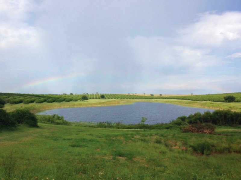 Lakefront Development Land : Clermont : Lake County : Florida