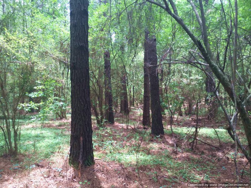 26.37 Ac Commercial Land : McComb : Pike County : Mississippi