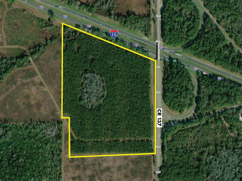 1-10 & CR 137 Interchange Land : Wellborn : Suwannee County : Florida