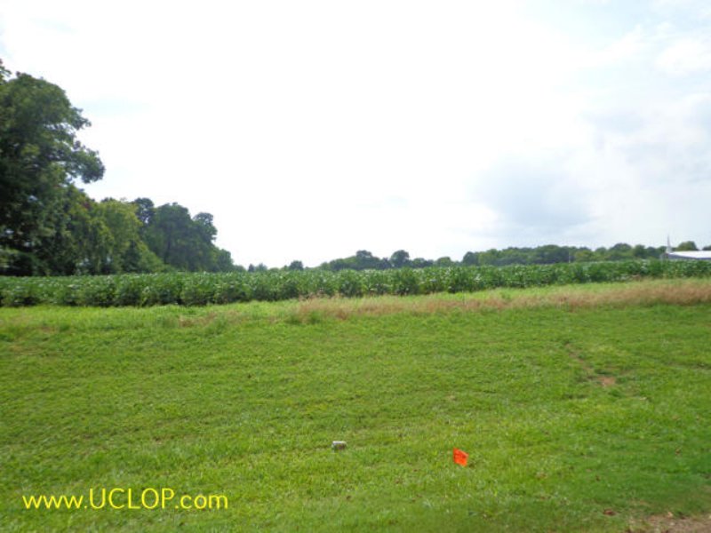 15+/- Acres Raw Commercial Land : Bunkie : Avoyelles Parish : Louisiana