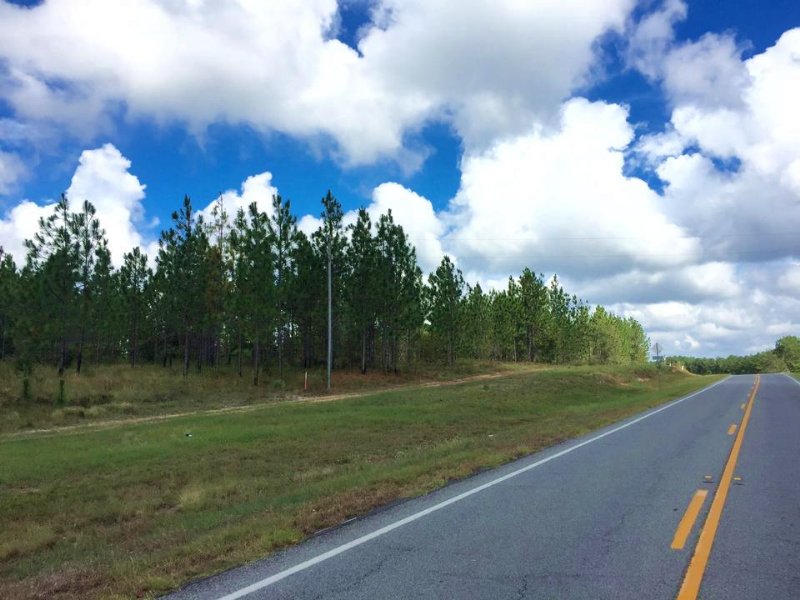 56 Acres Super Investment : Fitzgerald : Ben Hill County : Georgia