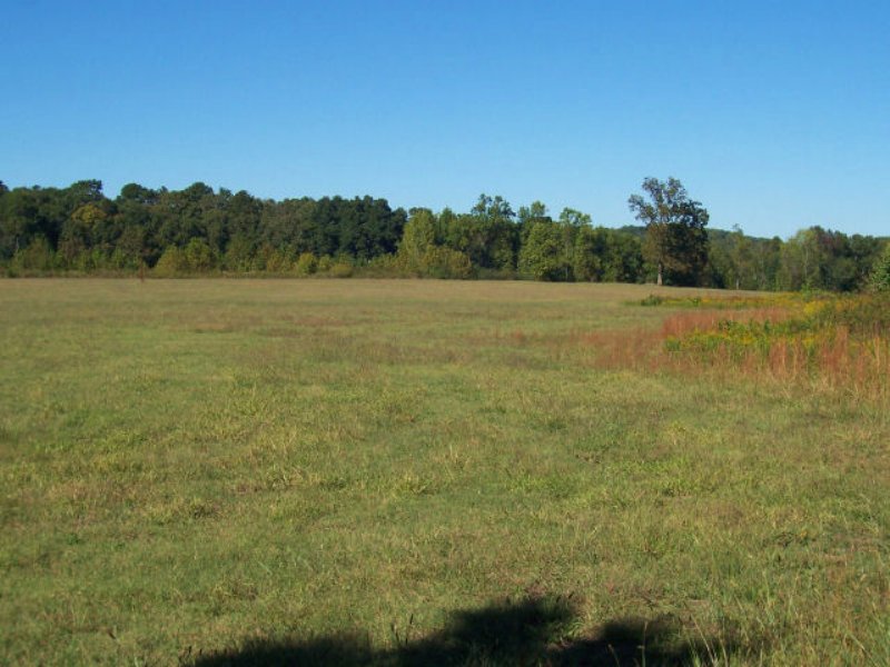 Commercial Property : Gainesville : Hall County : Georgia