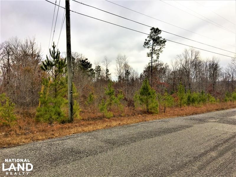 1.70 Acres Commercial Opportunity : Warrior : Blount County : Alabama