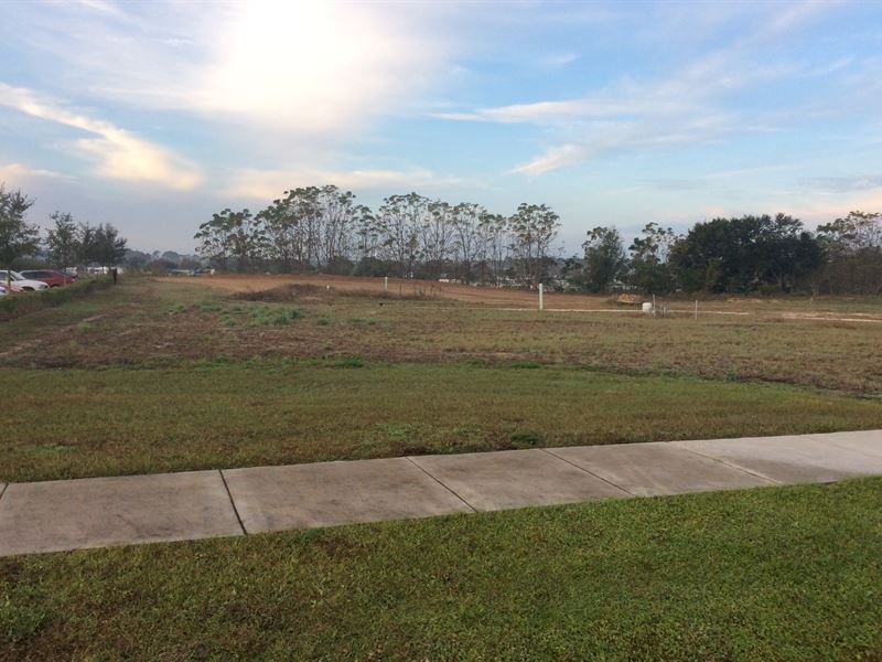 5+ Ac Medical Office/Multi-Family : Tavares : Lake County : Florida