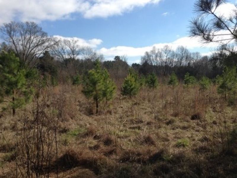 30.8 Acres in Holmes County in West : West : Holmes County : Mississippi
