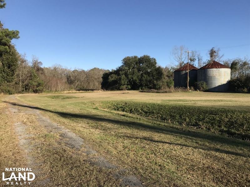 Seabrook Commercial Property : Seabrook : Beaufort County : South Carolina