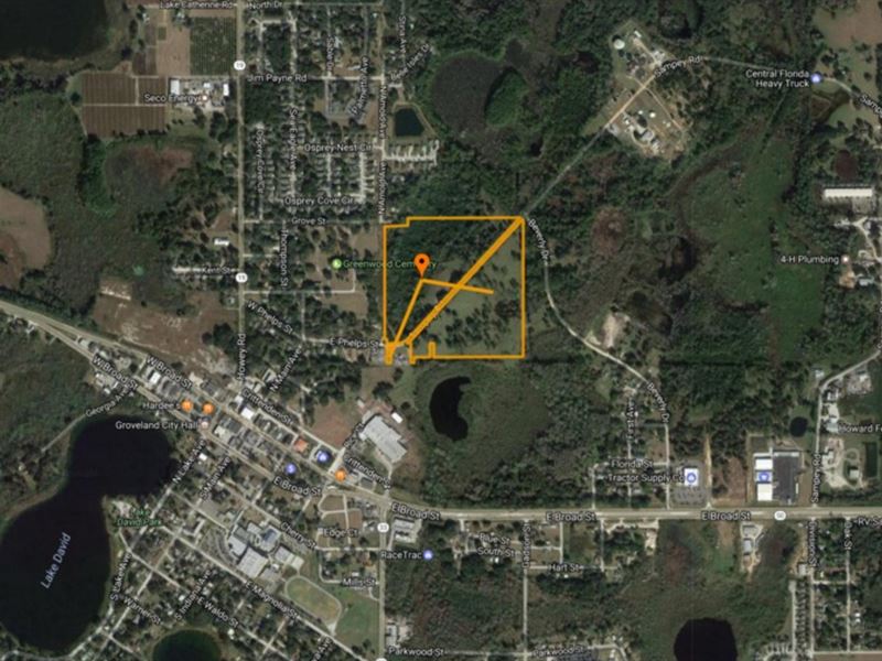 34 Ac Improved Pasture/Industrial : Groveland : Lake County : Florida