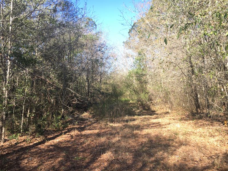 Jacob Street : Sylvania : Screven County : Georgia