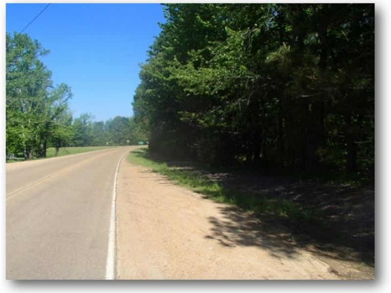 4 Acres In Carroll County In Vaiden : Vaiden : Carroll County : Mississippi