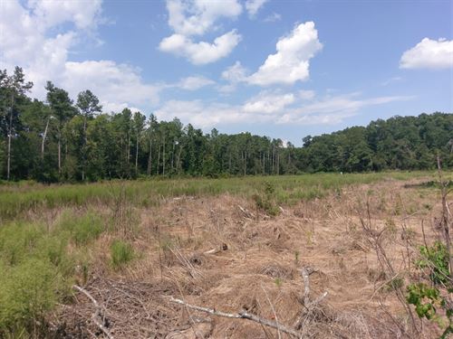 Hub 6098 Tract : Adairsville : Bartow County : Georgia