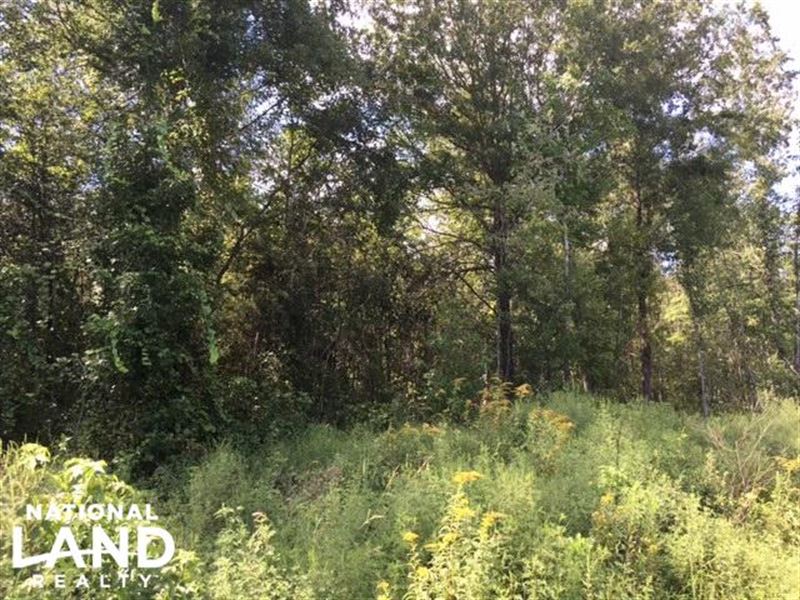 Talladega Timber, Home Sites & Recr : Talladega : Talladega County : Alabama