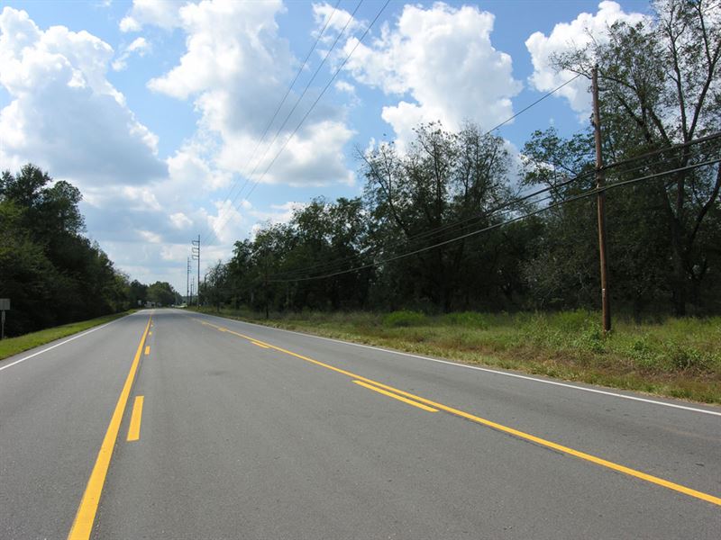 36.48 Acres Development Property : Waynesboro : Burke County : Georgia