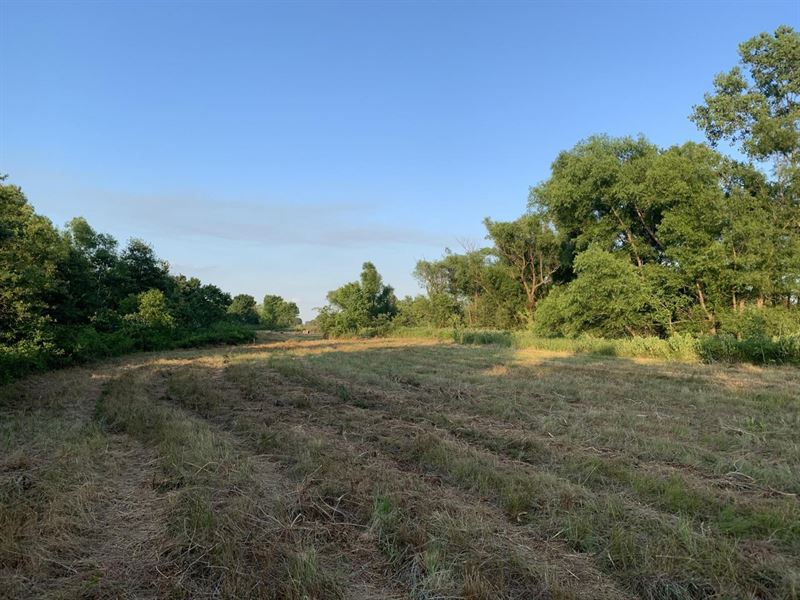 8 Acres For Sale in Stoddard County : Dudley : Stoddard County : Missouri