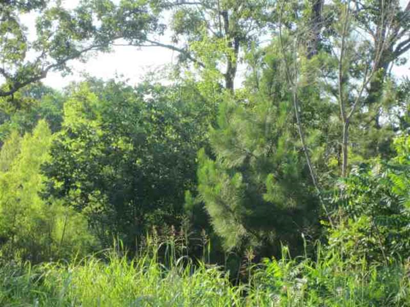 Price Drop, Commercial : Valliant : McCurtain County : Oklahoma
