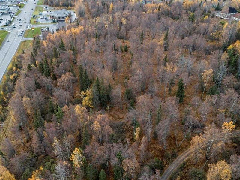 21.14 Commercial Acres Ready for DE : Soldotna : Kenai Peninsula Borough : Alaska