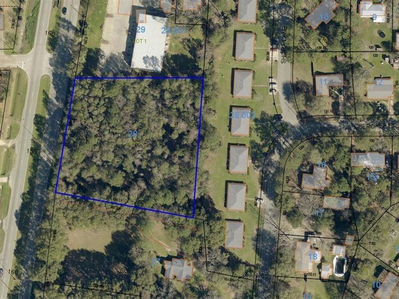 2.2 Acres Highway 431 North : Eufaula : Barbour County : Alabama