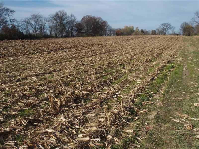 10 Acres, Hamilton County, Zoned : Noblesville : Hamilton County : Indiana