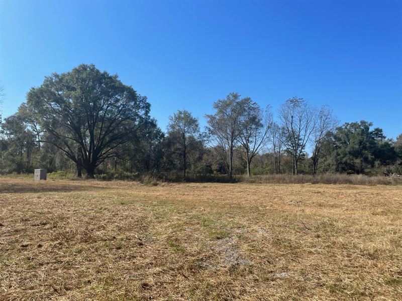 Beautiful 15 Acre Homesite in Pratt : Prattville : Autauga County : Alabama