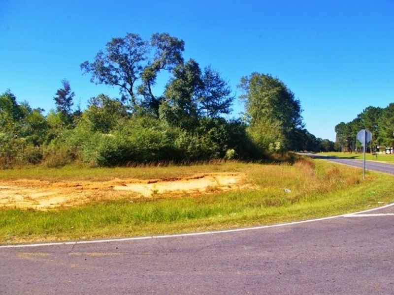 15 Acres for Sale Near Ms/La State, Property for Sale in Mississippi