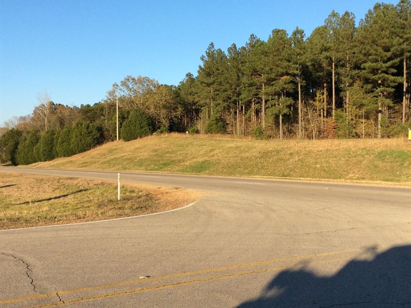 Epps Tract : Rienzi : Alcorn County : Mississippi