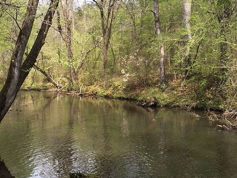 Mill Creek East : Lafayette : Chambers County : Alabama