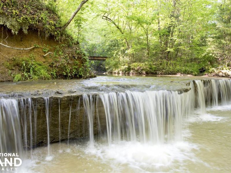 Jake Peavy's Southern Falls Plantat : Catherine : Wilcox County : Alabama