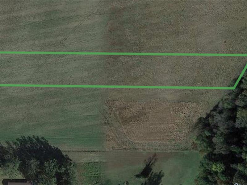 3 Acres, Newport, Arkansas : Newport : Jackson County : Arkansas
