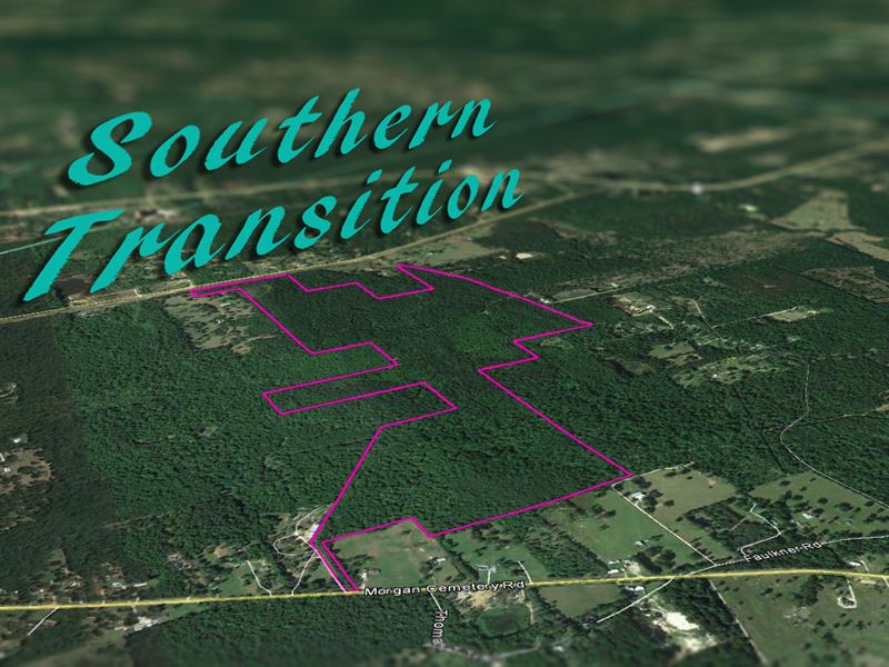 285 Acres Faulkner Road : Cleveland : Walker County : Texas