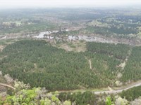 Ferguson Road Tract, Red River Pari : Edgefield : Red River Parish : Louisiana