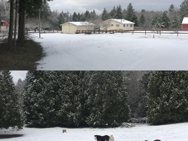 Urban Farm and Horse Property : Brownsville : Kitsap County : Washington