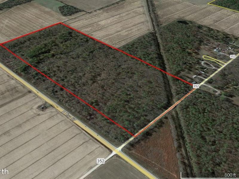 65 Acres for Sale in Butler Coun : Harviell : Butler County : Missouri
