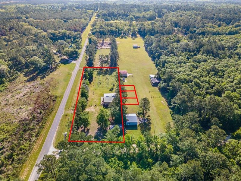 9616 Ashville Highway : Greenville : Jefferson County : Florida