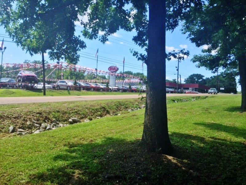 Commercial Acreage for Sale By Walm : McComb : Pike County : Mississippi
