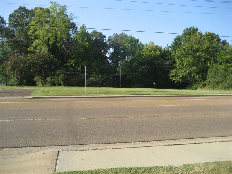Commercial Land Adamsville, TN : Adamsville : McNairy County : Tennessee
