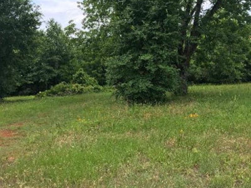 Commercial Lot Palestine TX City : Palestine : Anderson County : Texas