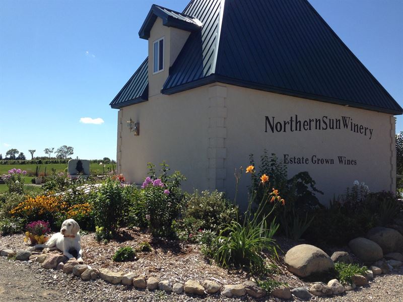 Turnkey Winery & Vineyard Upper : Bark River : Delta County : Michigan