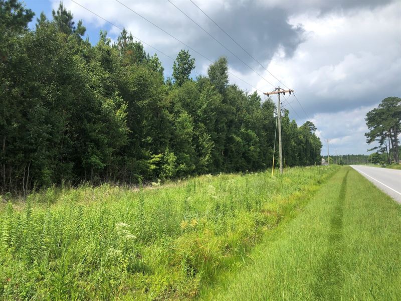 Land Beaufort County, North : Pinetown : Beaufort County : North Carolina