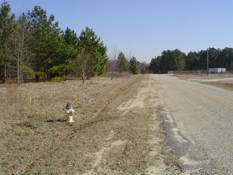 Dixon Estate Tract : Bishopville : Lee County : South Carolina