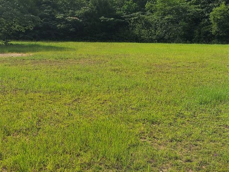 Commercial 5 Ac On Us 84 & Hwy 134 : Opp : Covington County : Alabama