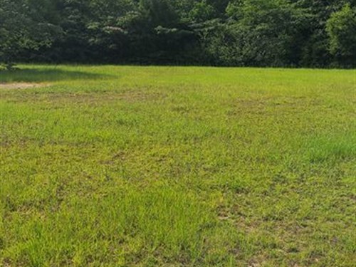 Commercial 5 Ac On Us 84 & Hwy 134 : Opp : Covington County : Alabama