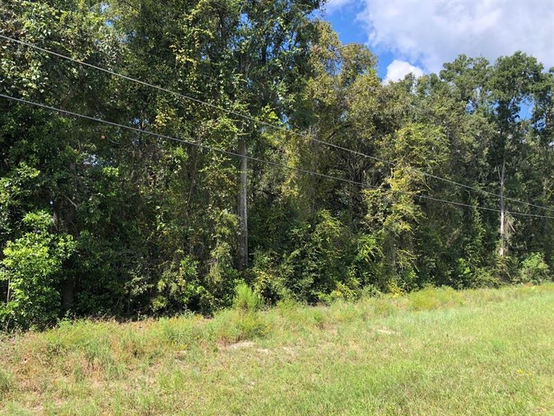 Commercial Lot .58 Acres 776505 : Fanning Springs : Levy County : Florida