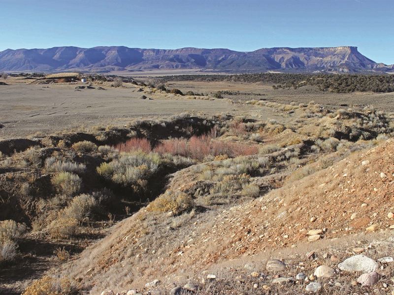 Gravel Mining Business with Land : Mancos : Montezuma County : Colorado