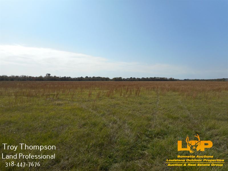 32.86 Acres Commercial : Marksville : Avoyelles Parish : Louisiana
